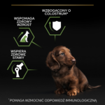 Purina Pro Plan Puppy Small & Mini Kurczak Ryż 7kg - obrazek 5