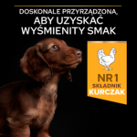 Purina Pro Plan Puppy Small & Mini Kurczak Ryż 7kg - obrazek 7