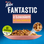 Felix Fantastic Karma Łosoś 85g - obrazek 2