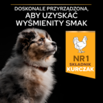 Purina Pro Plan Szczenięta Optistart Kurczak 12kg - obrazek 6