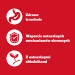 Pedigree Mokra Karma z Wołowiną 1200g - obrazek 6