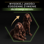 Purina Pro Plan Szczenię Atletyczne Kurczak Ryż 12kg - obrazek 3