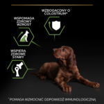 Purina Pro Plan Szczenię Atletyczne Kurczak Ryż 12kg - obrazek 4