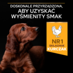 Purina Pro Plan Szczenię Atletyczne Kurczak Ryż 12kg - obrazek 6