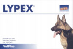VetPlus Lypex Wsparcie Trawienia dla Psów i Kotów - obrazek 2