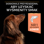Purina Pro Plan Małe Rasy Sensitive 7kg - obrazek 12