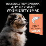 Purina Pro Plan Szczenięta Wrażliwa Skóra Łosoś 12kg - obrazek 7