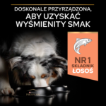 Purina Pro Plan Łosoś Sensitive Skin 14kg - obrazek 6