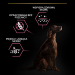 Purina Pro Plan Optiderma Duże Rasy Łosoś - obrazek 3