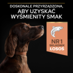Purina Pro Plan Optiderma Duże Rasy Łosoś - obrazek 5