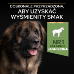 Purina Pro Plan Large Robust Jagnięcina 14kg - obrazek 5