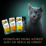 Sheba Fresh & Fine Mokra Karma dla Kota - obrazek 8