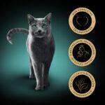 Sheba Fresh & Fine Mokra Karma dla Kota - obrazek 9
