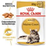 Karma Mokra Royal Canin Maine Coon Adult