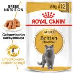 ROYAL CANIN British Shorthair Adult Mokra Karma