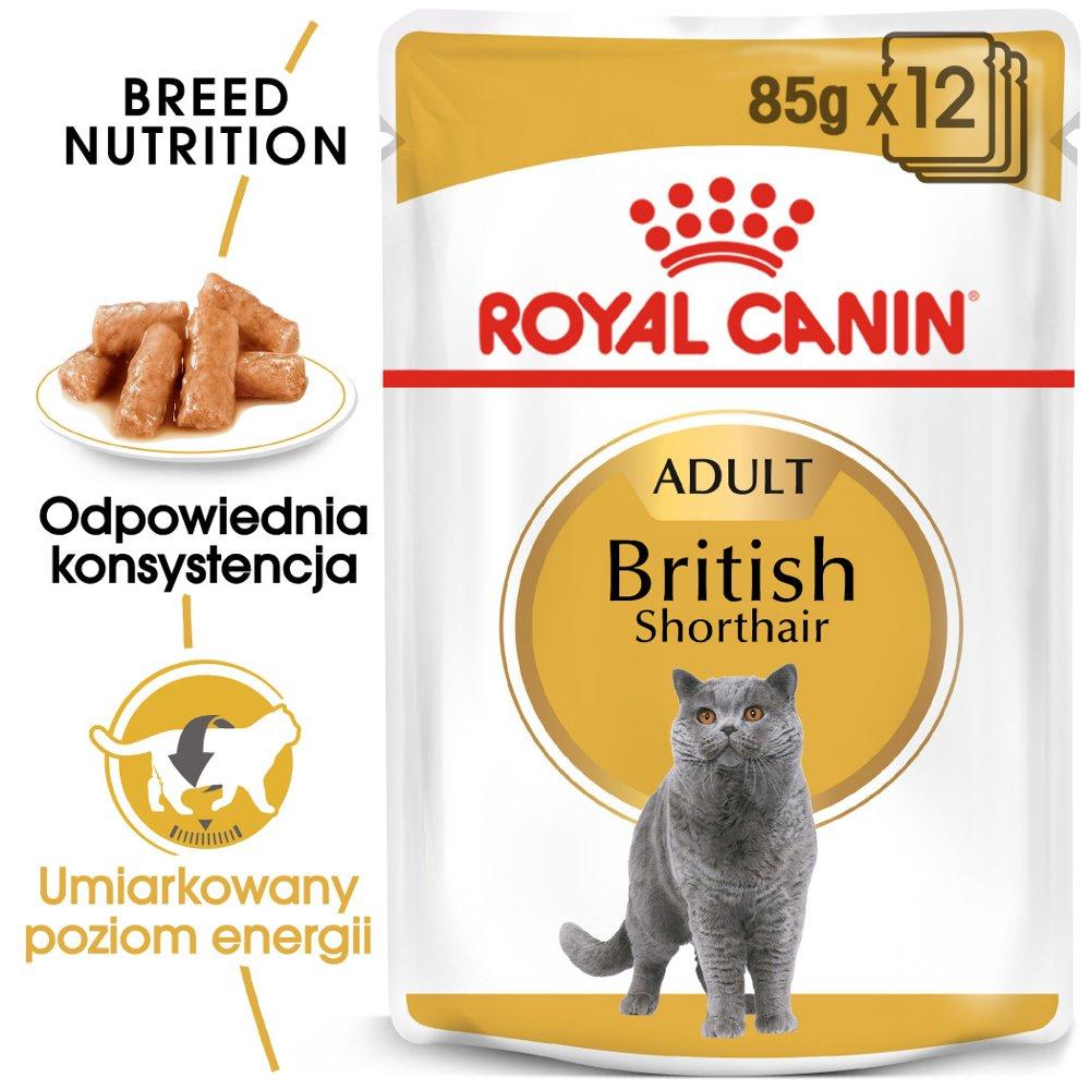 606_1.jpg ROYAL CANIN British Shorthair Adult Mokra Karma - obrazek 1