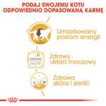 ROYAL CANIN British Shorthair Adult Mokra Karma - obrazek 5
