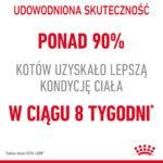 ROYAL CANIN Light Weight Care Kot Galaretka - obrazek 10