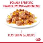 ROYAL CANIN Light Weight Care Kot Galaretka - obrazek 4