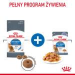 ROYAL CANIN Light Weight Care Kot Galaretka - obrazek 5