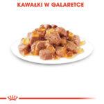 Royal Canin Instinctive Gelee Mokra Karma - obrazek 10