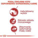 Royal Canin Instinctive Gelee Mokra Karma - obrazek 5