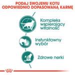Royal Canin Instinctive +7 Karma dla Kotów Seniorów - obrazek 4