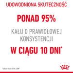Royal Canin Digest Sensitive Saszetki dla kotów - obrazek 4