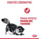 Royal Canin Digest Sensitive Saszetki dla kotów - obrazek 6