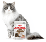 ROYAL CANIN Ageing 12+ Sos dla Kota - obrazek 4