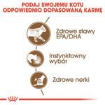 ROYAL CANIN Ageing 12+ Sos dla Kota - obrazek 7