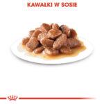 ROYAL CANIN Ageing 12+ Sos dla Kota - obrazek 8