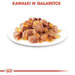 ROYAL CANIN Sterilised Galaretka dla Kotów - obrazek 6