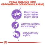 Royal Canin Sterilised Saszetki Sos Kot 12x85g - obrazek 5