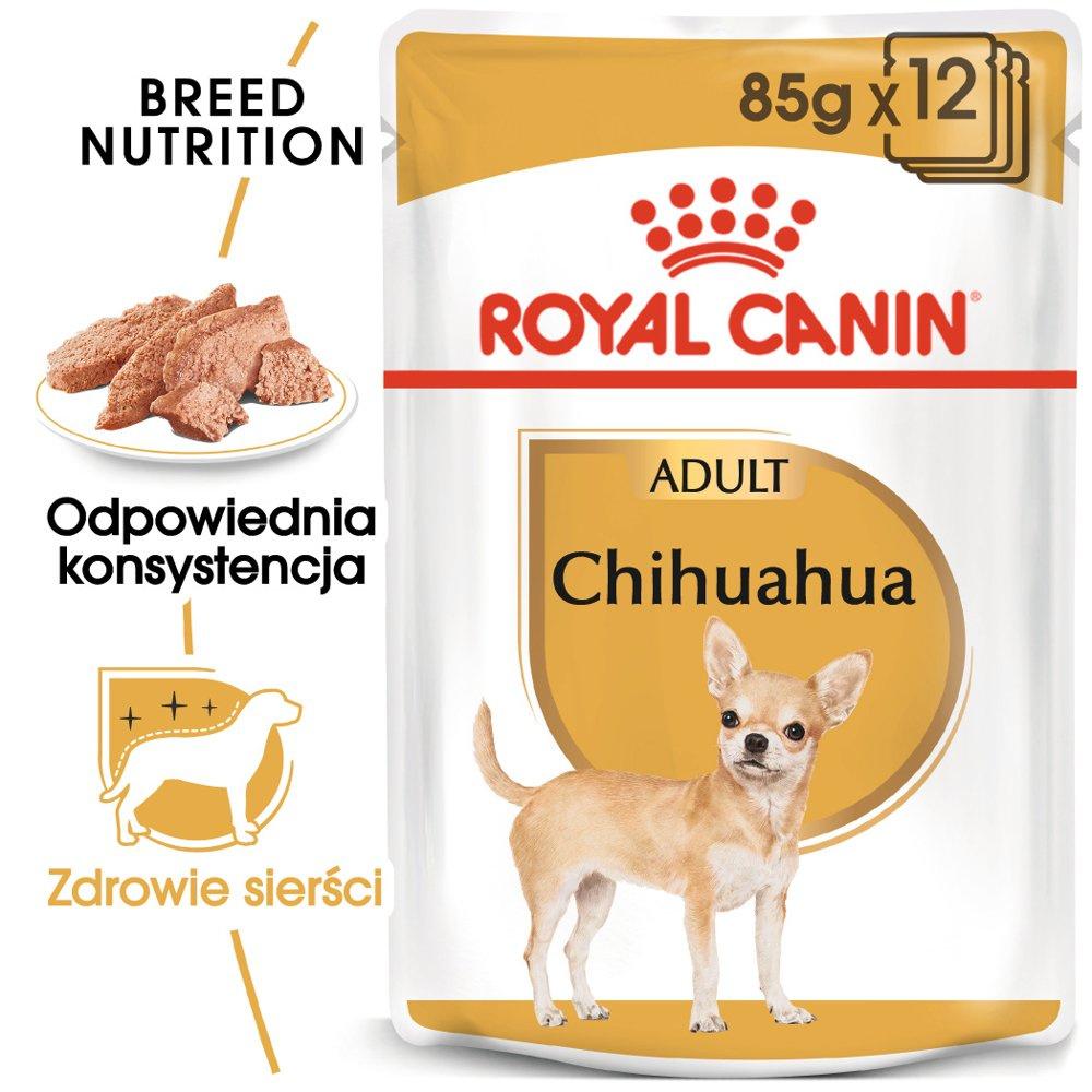 622_1.jpg Royal Canin Chihuahua Adult Mokra Karma - obrazek 1