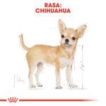 Royal Canin Chihuahua Adult Mokra Karma - obrazek 3