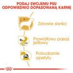 Royal Canin Chihuahua Adult Mokra Karma - obrazek 5