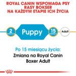 Royal Canin Boxer Puppy 12kg - obrazek 2