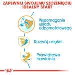 Royal Canin Boxer Puppy 12kg - obrazek 4