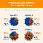 Cat Chow Adult Jagnięcina Zielona Fasolka 85g - obrazek 7