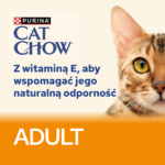 Cat Chow Adult Jagnięcina Zielona Fasolka 85g - obrazek 8