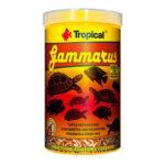 Tropical Gammarus Pokarm dla Gadów i Ryb