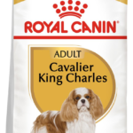 Karma Royal Canin Cavalier Adult 1,5kg