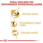 Karma Royal Canin Cavalier Adult 1,5kg - obrazek 5