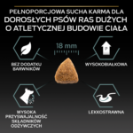 Purina Pro Plan Optidigest Jagnięcina Ryż 14kg - obrazek 4
