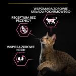 PURINA Pro Plan Delicate Indyk Ryż 10kg - obrazek 3