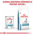 ROYAL CANIN Hypoallergenic 400g - obrazek 6