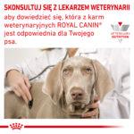 ROYAL CANIN Hypoallergenic 400g - obrazek 7