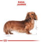 Royal Canin Dachshund Adult 7,5kg - obrazek 3