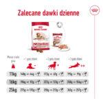 Royal Canin Medium Ageing 10+ 15kg - obrazek 11